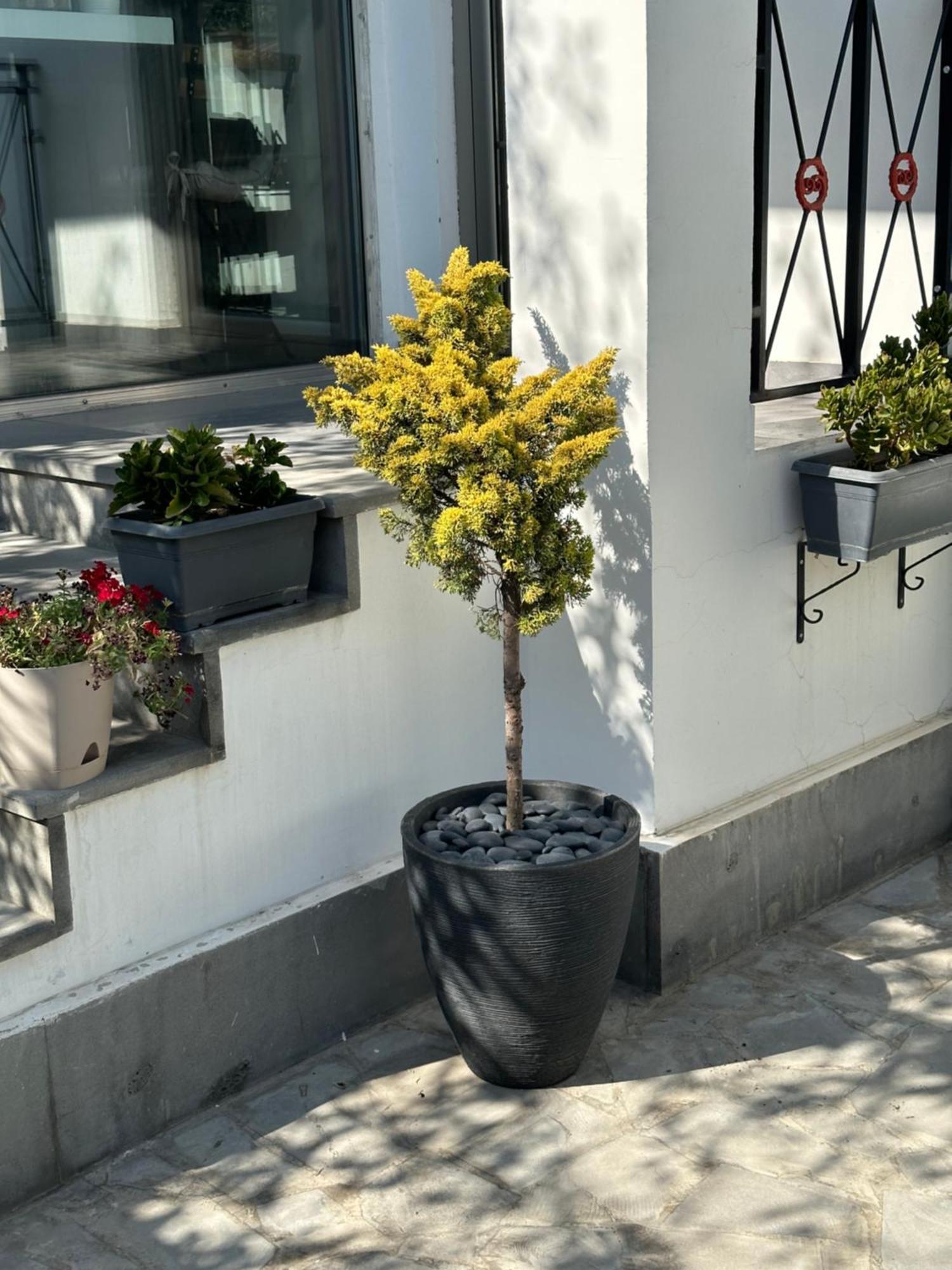يريفان Garden Lounge Hotel المظهر الخارجي الصورة